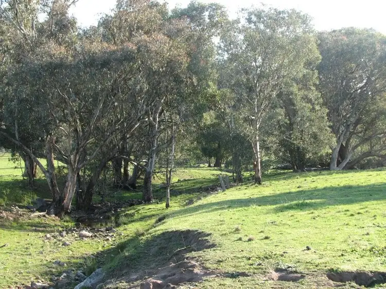 Second view of Homely rural property listing, 121 C Moss Road, Cowra NSW 2794