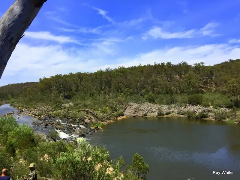 Main view of Homely rural property listing, 668 Oallen Ford Road, Braidwood NSW 2622