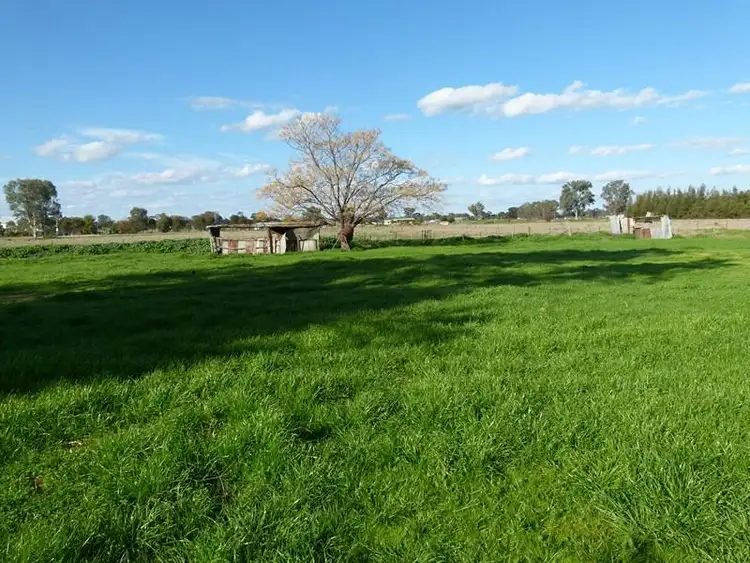 Seventh view of Homely house listing, 46 Ooma Street, Forbes NSW 2871