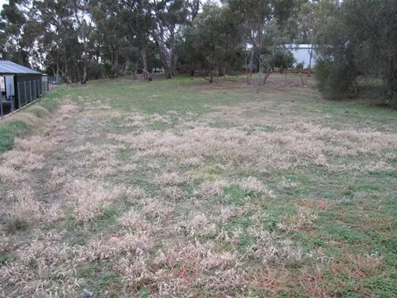 Main view of Homely land listing, 16 Gramp Court, Lyndoch SA 5351