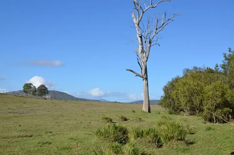 Third view of Homely rural property listing, 124 Boonah-Rathdowney Road, Dugandan QLD 4310