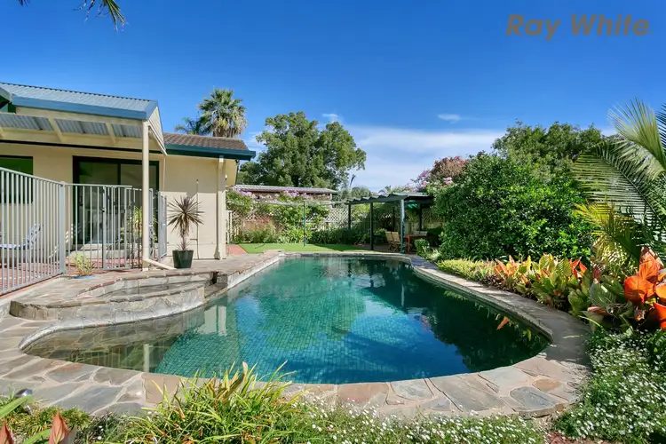 Main view of Homely house listing, 12 Christina Street, Marion SA 5043