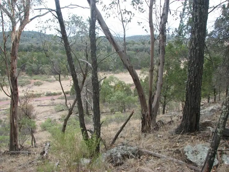 Fourth view of Homely rural property listing, Lot 12 White Horse Road, Cowra NSW 2794