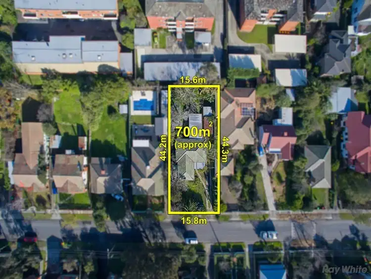 Third view of Homely house listing, 13 Howard Street, Box Hill VIC 3128