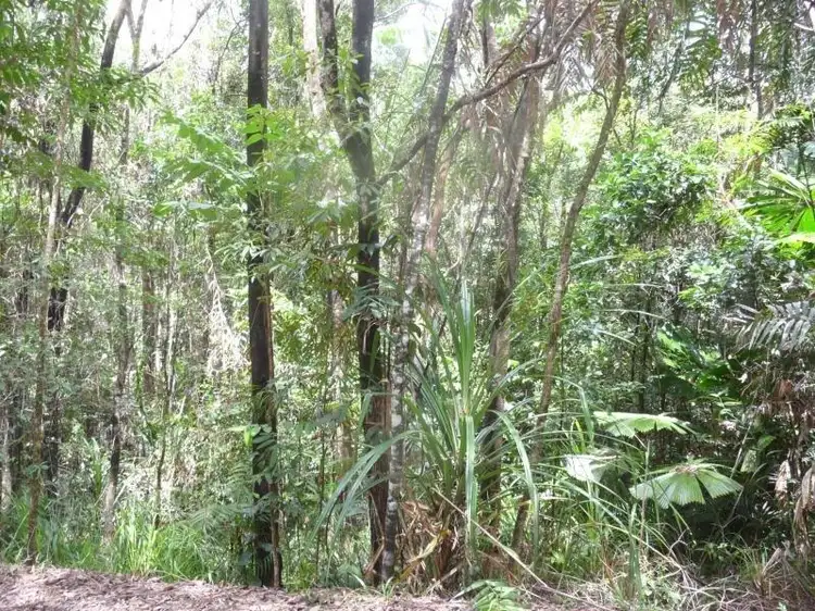 Fourth view of Homely land listing, Lot 16 Forest Close, Daintree QLD 4873
