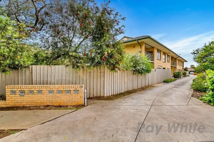 Sixth view of Homely unit listing, 6/16 Murray Terrace, Oaklands Park SA 5046