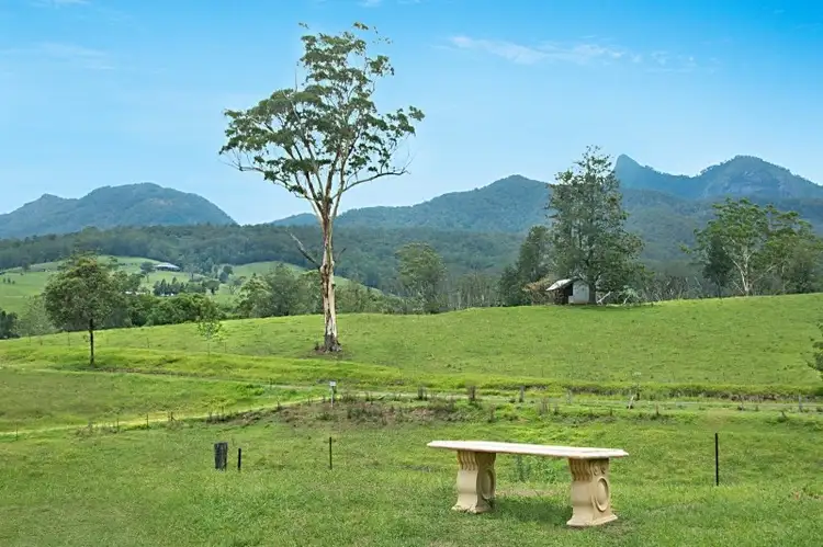 Fourth view of Homely rural property listing, 5 Charbray Place, Tyalgum NSW 2484
