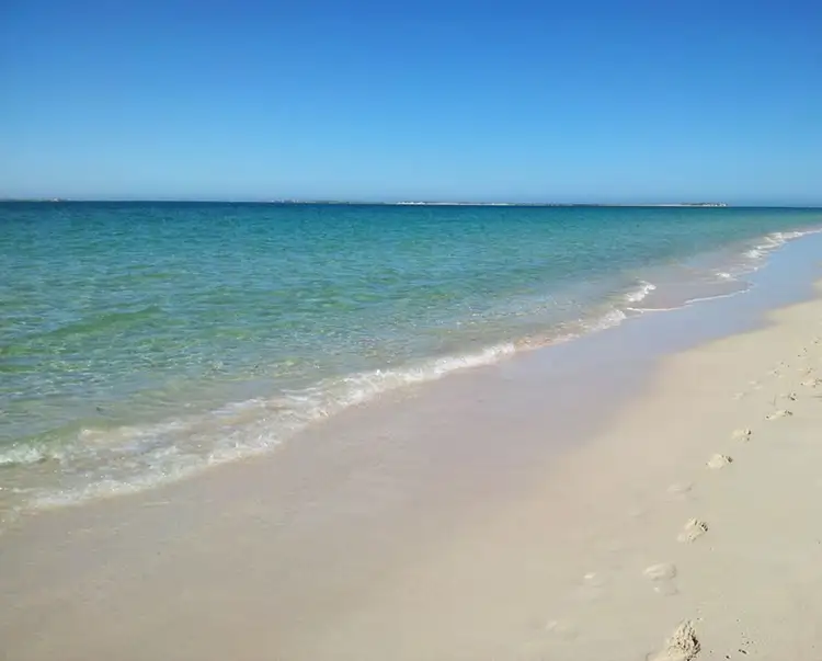Fifth view of Homely land listing, Lot 531, 21 Dryandra Boulevard, Jurien Bay WA 6516
