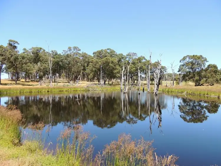 Sixth view of Homely rural property listing, 426 Harewood Road, Denmark WA 6333