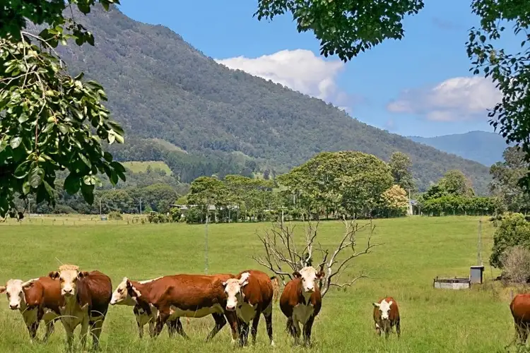 Third view of Homely rural property listing, 47 Kellys Road, Eungella NSW 2484