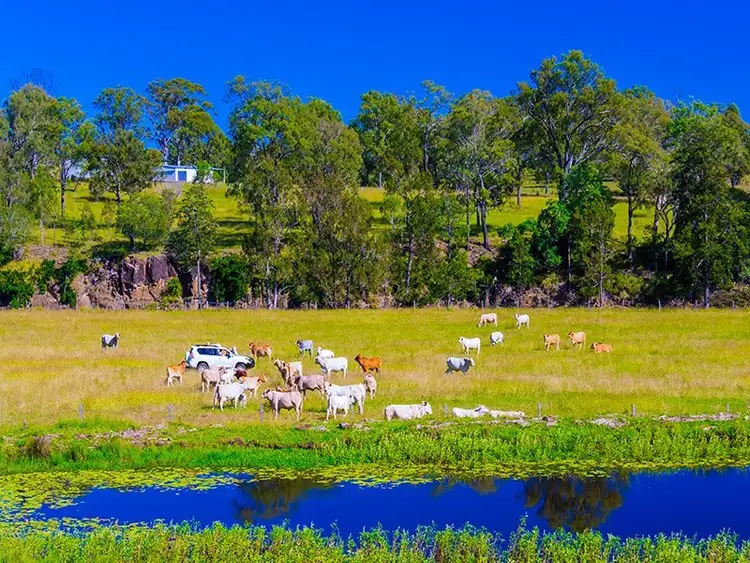 Fourth view of Homely rural property listing, 500 Cainbable Creek Road, Cainbable QLD 4285