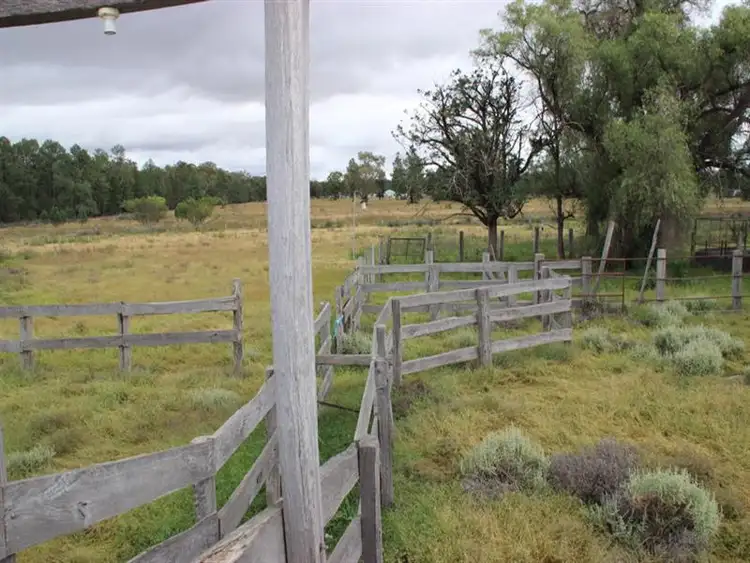 Third view of Homely house listing, . MERRIWEE, Baradine NSW 2396