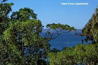 Fifth view of Homely studio listing, 71/5-7 The Esplanade, Elizabeth Bay NSW 2011