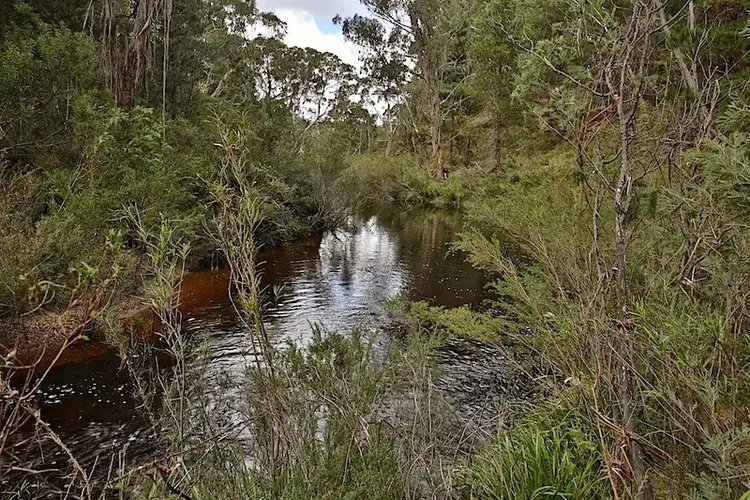 Sixth view of Homely house listing, 259 Corang Post Office Road, Nerriga NSW 2622