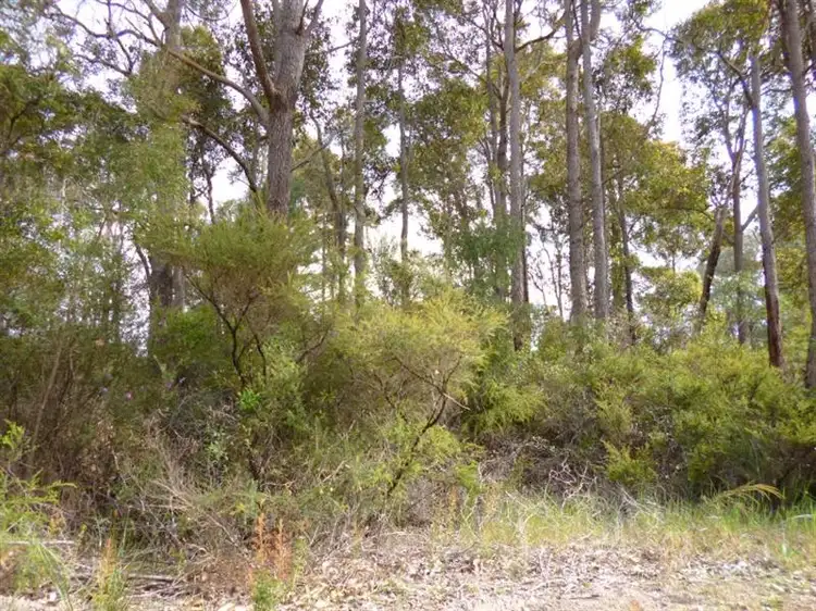 Lot 122 Betsworth Street, Northcliffe WA 6262
