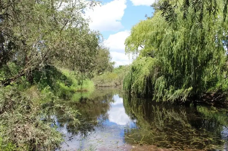 Main view of Homely rural property listing, Lot 1 Lois Lane, Thanes Creek QLD 4370