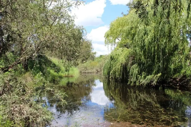 Main view of Homely rural property listing, Lot 1 Lois Lane, Thanes Creek QLD 4370