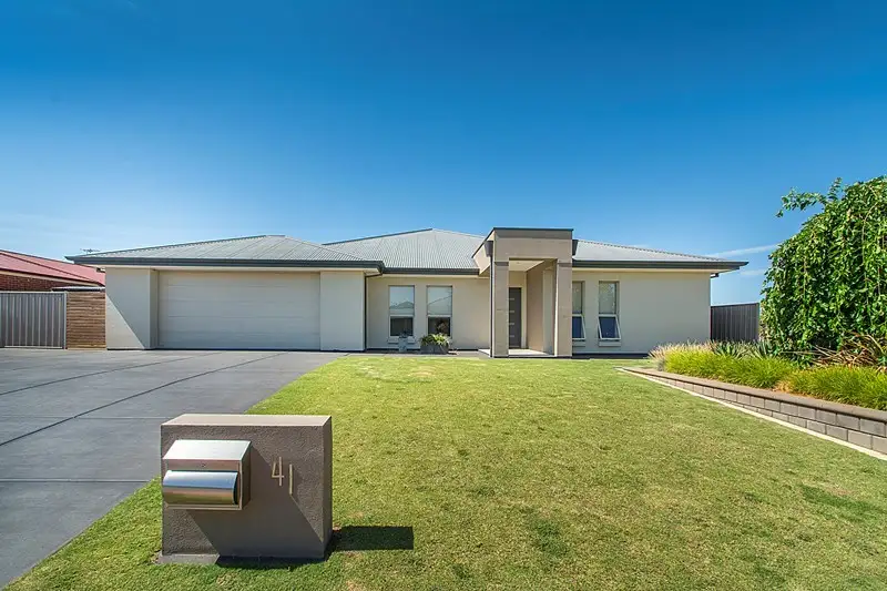 Main view of Homely house listing, 41 John Harris Drive, Nuriootpa SA 5355