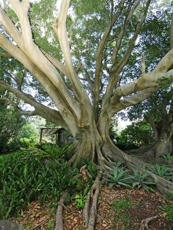 Fifth view of Homely rural property listing, A495 Princes Highway, Broughton Village NSW 2534