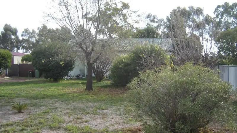 Main view of Homely house listing, 66 Dudley Street, Rochester VIC 3561