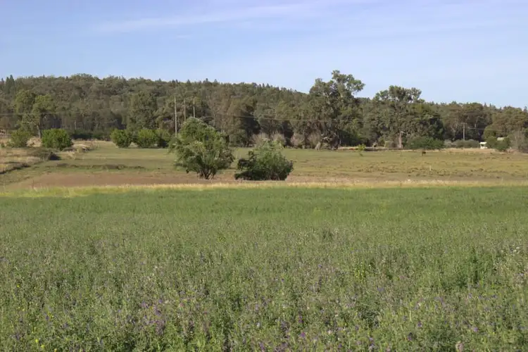 Sixth view of Homely rural property listing, ."NYINAMA" NEWELL Highway, Coonabarabran NSW 2357