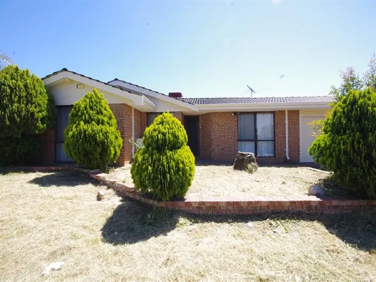 Second view of Homely house listing, 79 Dryandra Drive, Mirrabooka WA 6061