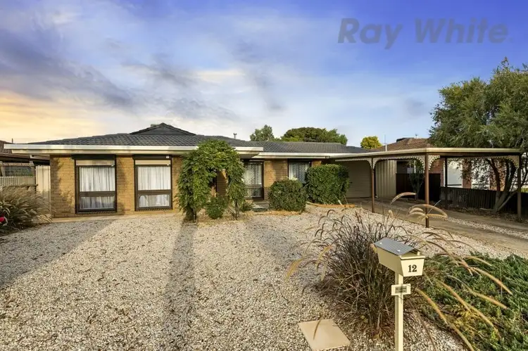 Main view of Homely house listing, 12 Chelmsford Grove, Andrews Farm SA 5114