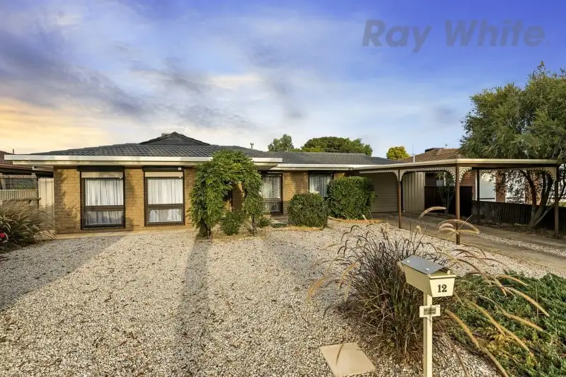 Main view of Homely house listing, 12 Chelmsford Grove, Andrews Farm SA 5114
