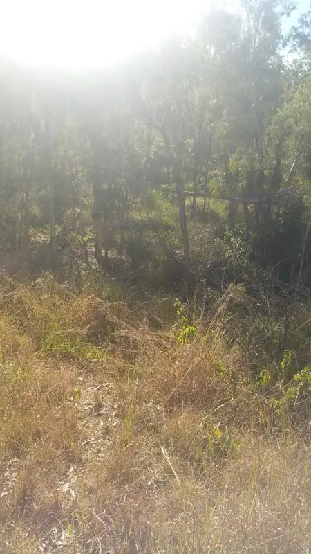 Seventh view of Homely rural property listing, 78 Fire Creek Road, Raglan QLD 4697