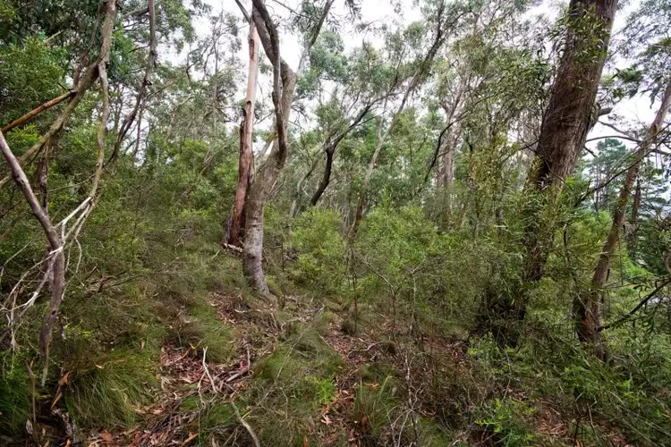 Fourth view of Homely land listing, Lot 17 Victoria Street, Mount Victoria NSW 2786