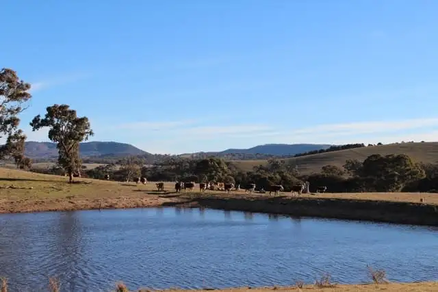 Seventh view of Homely rural property listing, 1887 Hazelgrove Road, Tarana NSW 2787