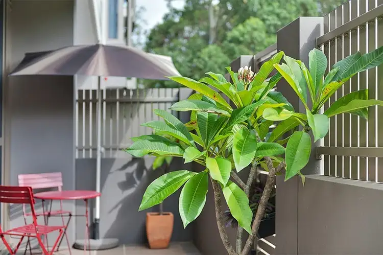Seventh view of Homely apartment listing, 33/132-138 Killeaton Street, St Ives NSW 2075