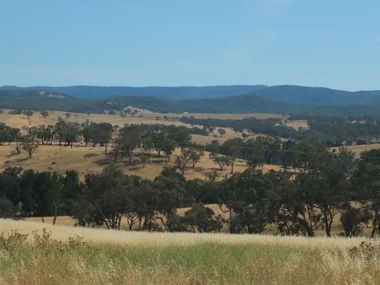 Sixth view of Homely rural property listing, 1672 Mutton Falls Road, O'connell NSW 2795