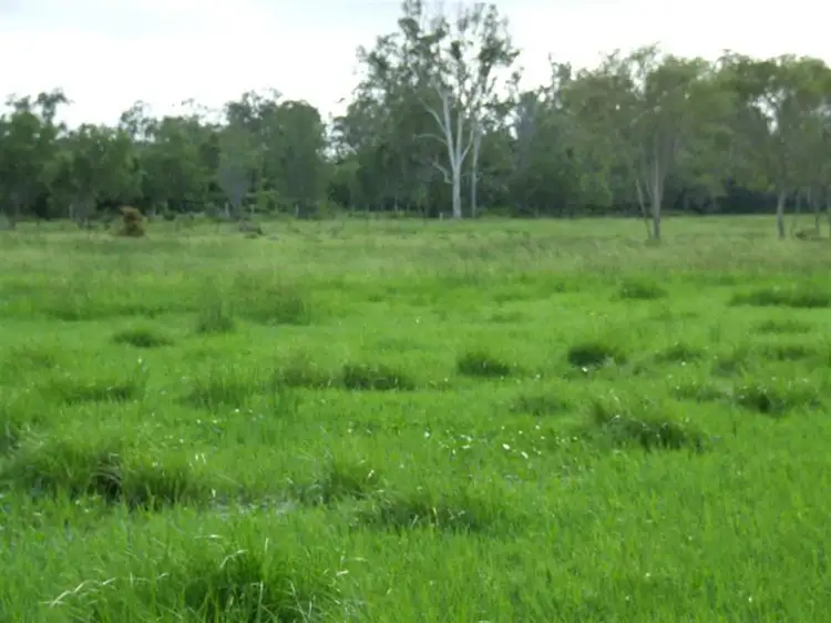 Fourth view of Homely rural property listing, 24 "Graceville" Andy Road, Morinish QLD 4702