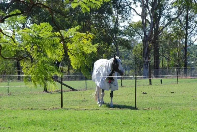Second view of Homely house listing, 8 Campbell Crescent, Glenorie NSW 2157