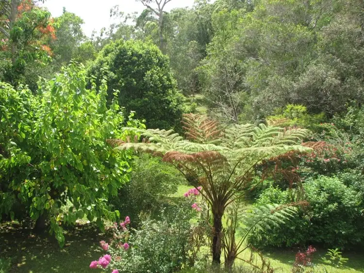 Third view of Homely house listing, 37 Miva Street, Cooroy QLD 4563