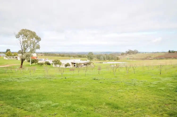 Main view of Homely house listing, 80 Apps Lane, Young NSW 2594