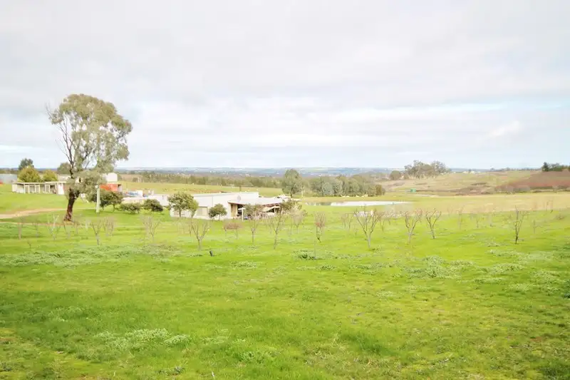 Main view of Homely house listing, 80 Apps Lane, Young NSW 2594