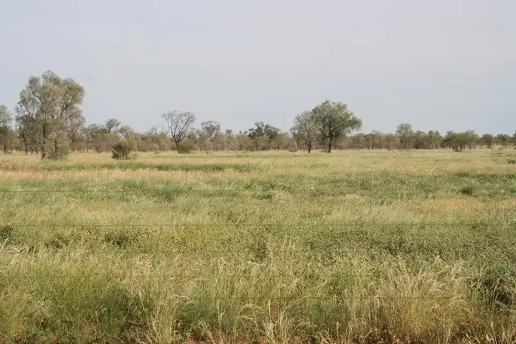 Seventh view of Homely rural property listing, . Westward Ho, Boulia QLD 4829