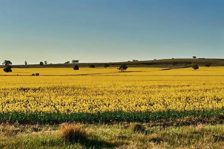 Main view of Homely rural property listing, 8813 Sturt Highway, Narrandera NSW 2700