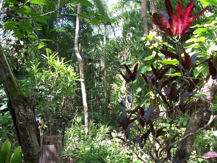 Fifth view of Homely house listing, 287 Saltwater Creek Road, Conway QLD 4800