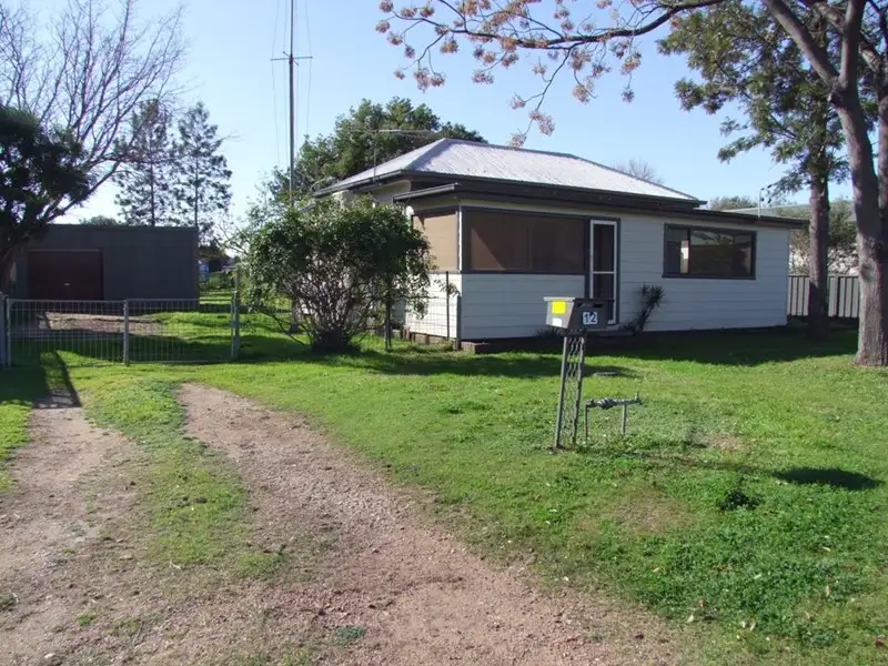 Main view of Homely house listing, 12 Carrington Street, Singleton NSW 2330