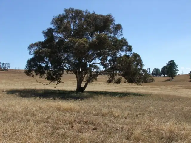 Fourth view of Homely rural property listing, Address available on request