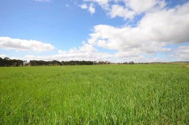 Fourth view of Homely rural property listing, Ma's and Lagoon Main Road, Robertstown SA 5381