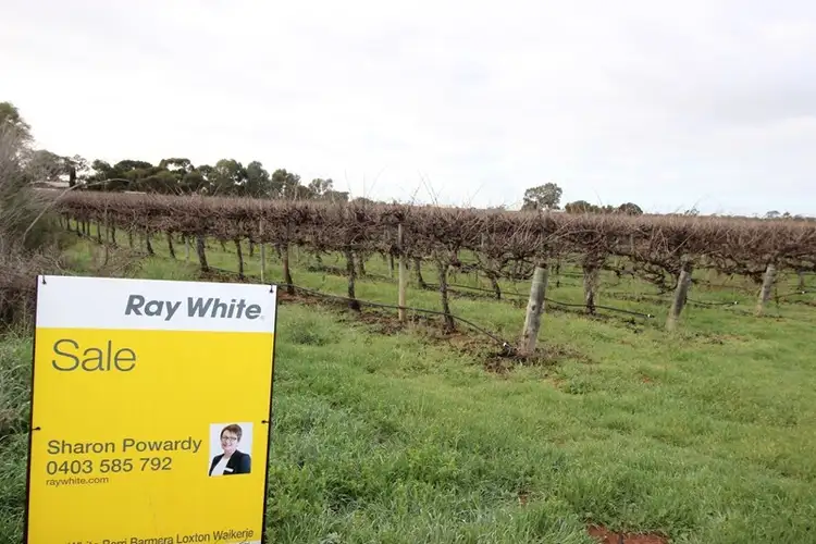Lot 107 and108 Vasey Road, Waikerie SA 5330