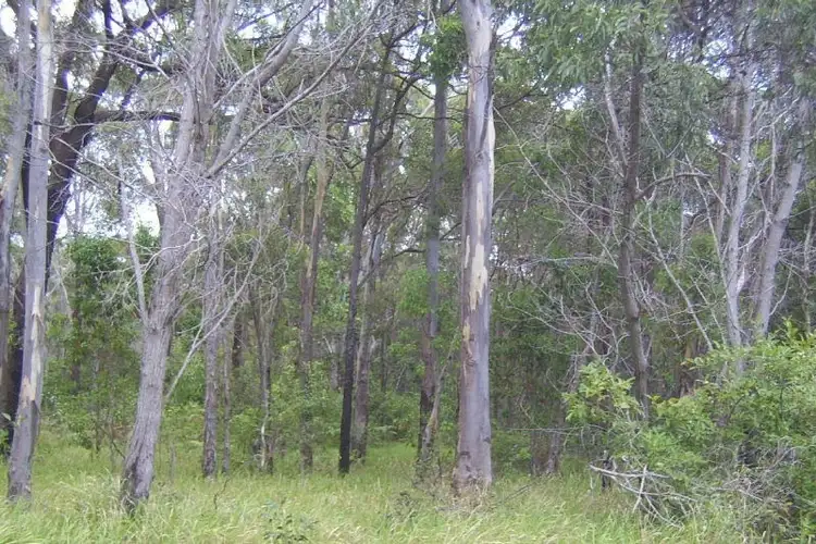 5 Darling Street, Russell Island QLD 4184