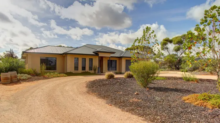 163 Chapple Road, Winkie SA 5343