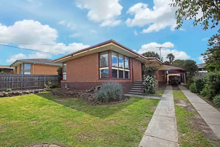 19 Cheryl Crescent, Belmont VIC 3216