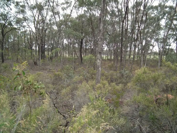 Sixth view of Homely rural property listing, Lot 1 Spring Lane, Bailieston VIC 3608