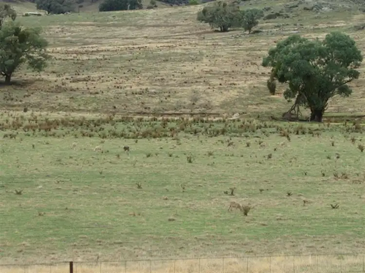 Third view of Homely rural property listing, Address available on request